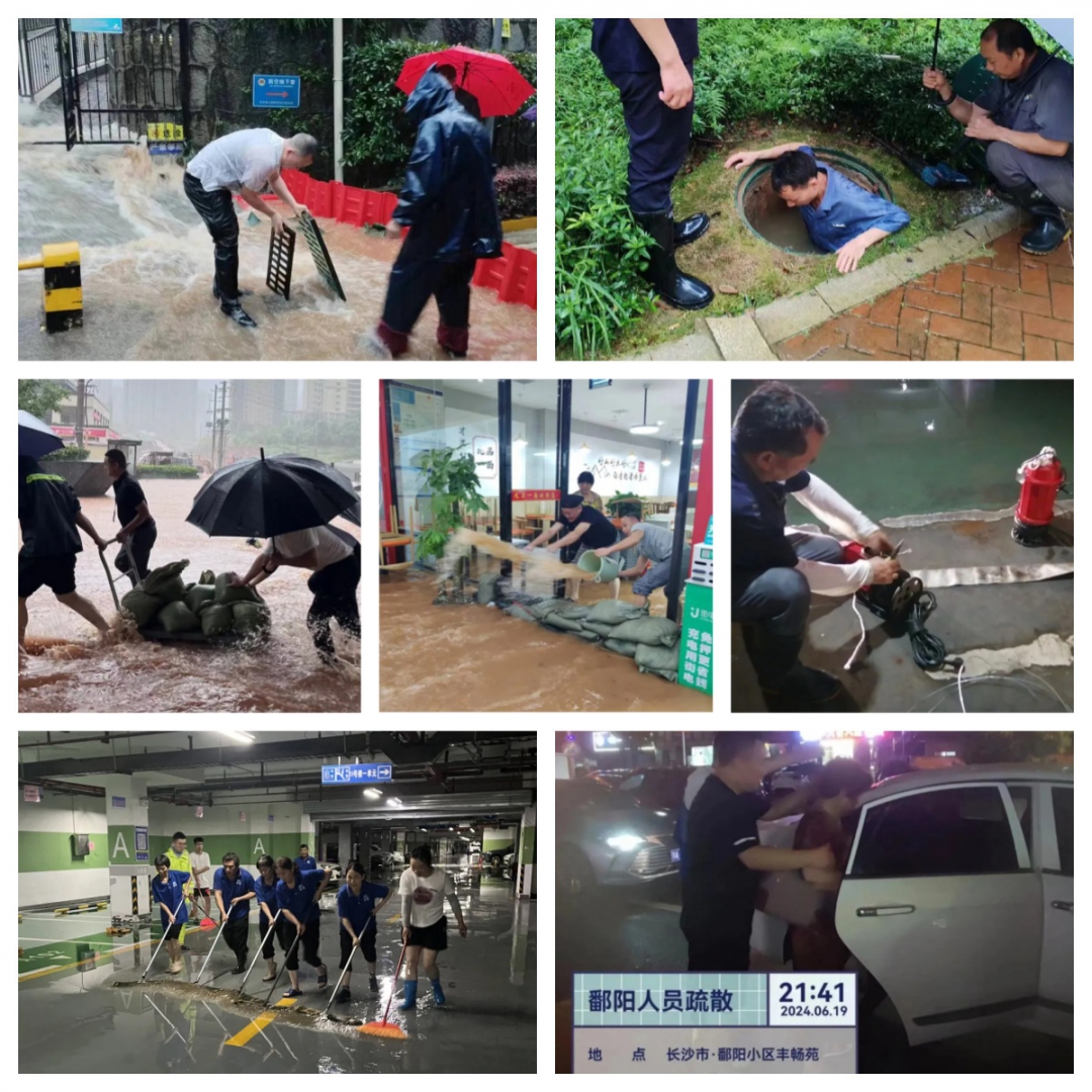 20250826136488.jpg 20250826136488.jpg